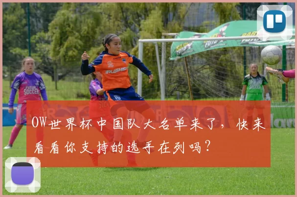 OW世界杯中国队大名单来了,快来看看你支持的选手在列吗?