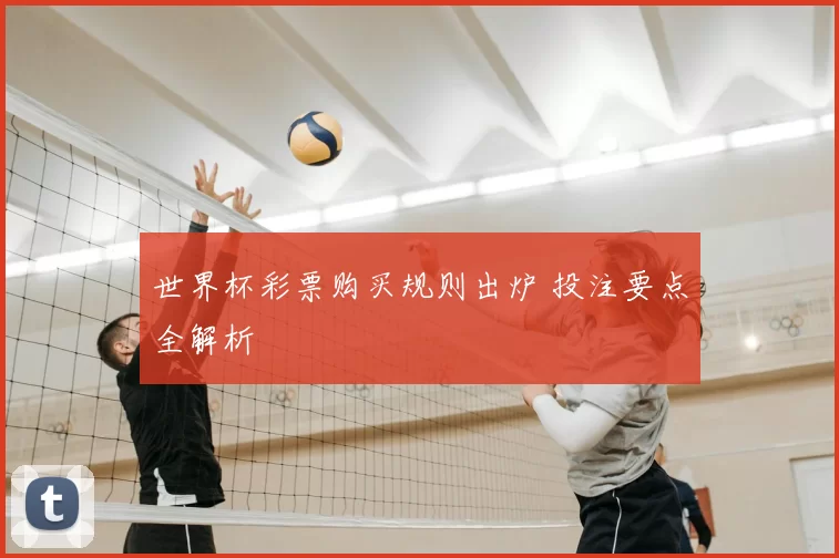 世界杯彩票购买规则出炉 投注要点全解析