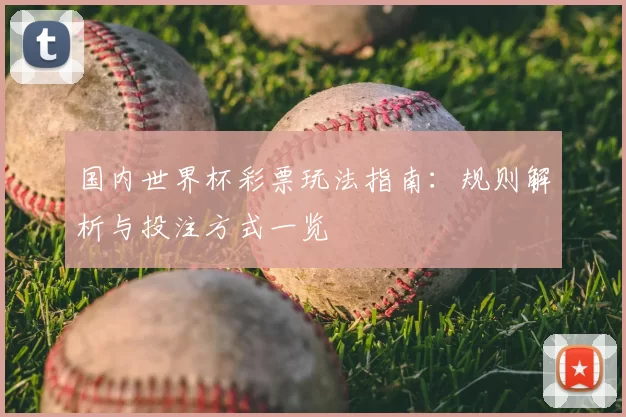 国内世界杯彩票玩法指南：规则解析与投注方式一览