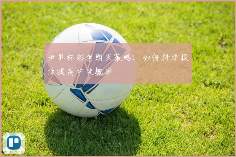 世界杯彩票购买策略:如何科学投注提高中奖概率
