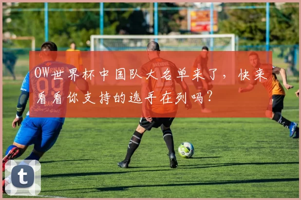 OW世界杯中国队大名单来了，快来看看你支持的选手在列吗？