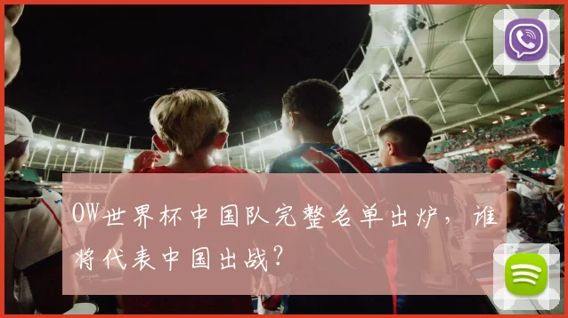 OW世界杯中国队完整名单出炉，谁将代表中国出战？