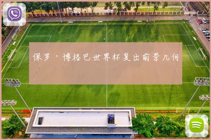 保罗·博格巴世界杯复出前景几何
