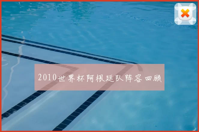 2010世界杯阿根廷队阵容回顾