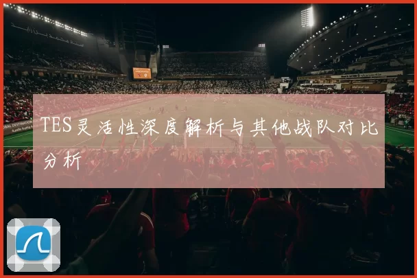 TES灵活性深度解析与其他战队对比分析
