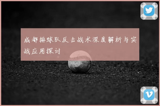 成都排球队反击战术深度解析与实战应用探讨