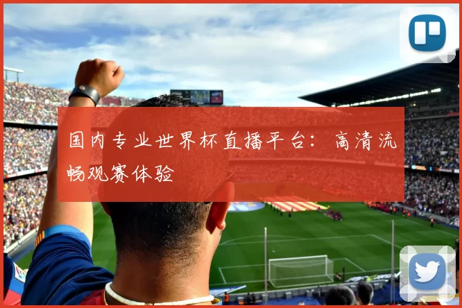 国内专业世界杯直播平台:高清流畅观赛体验