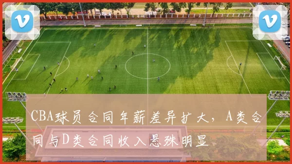 CBA球员合同年薪差异扩大,A类合同与D类合同收入悬殊明显